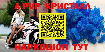 тгк Кингисепп
