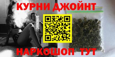 тгк Кингисепп