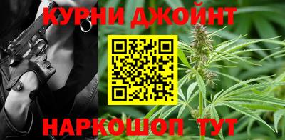 тгк Кингисепп