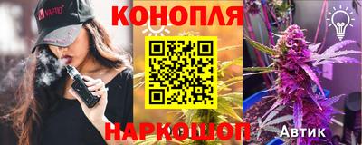 шишки Кинель