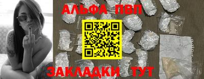 тгк Кингисепп