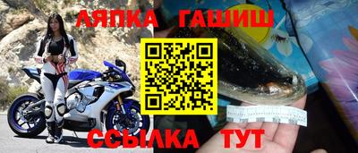 тгк Кингисепп