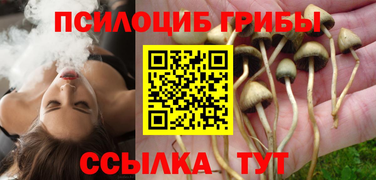 Галлюциногенные грибы GOLDEN TEACHER Коммунар
